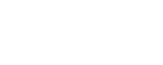 Logo Ansee Consulting